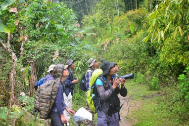 Bird Watching in Myanmar - Myanmar Tours